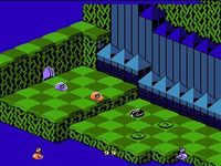 une photo d'Ã©cran de Snake Rattle n Roll sur Nintendo Nes